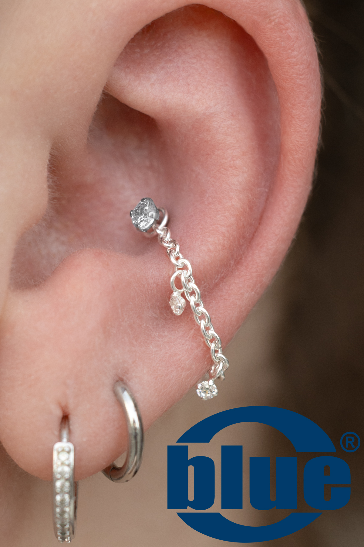 Conch-mit-Verbindungskette